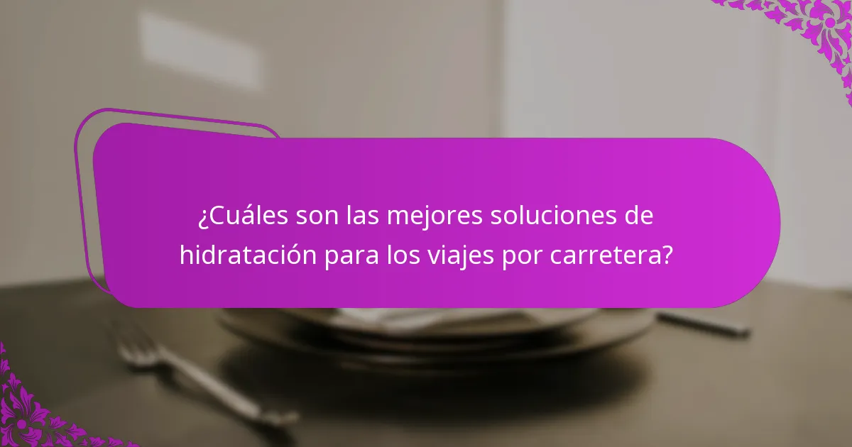 ¿Cuáles son las mejores soluciones de hidratación para los viajes por carretera?