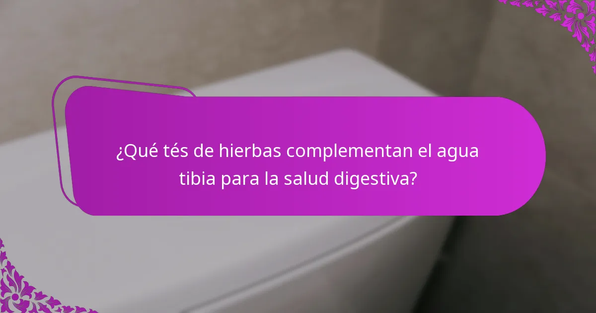 ¿Qué tés de hierbas complementan el agua tibia para la salud digestiva?